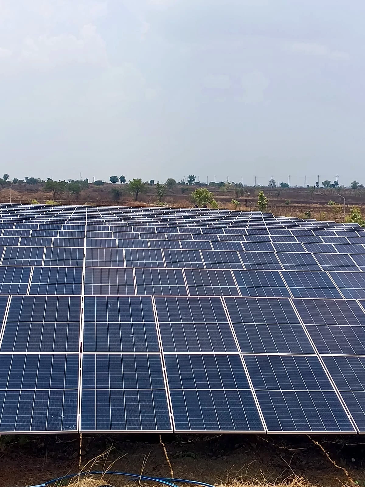 Photograph of a Novaya Energy solar installation with rows of photovoltaic modules